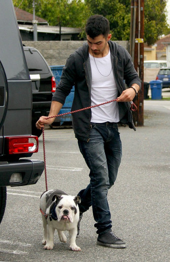 Joe+Jonas+Joe+Jonas+Takes+Dog+Vet+TS6OMvEy-lll - Joe Jonas Takes His Dog to the Vet