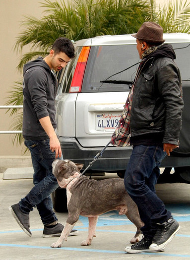 Joe+Jonas+Joe+Jonas+Takes+Dog+Vet+KzWi3KcabCBl - Joe Jonas Takes His Dog to the Vet