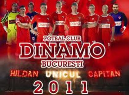 images - dinamo