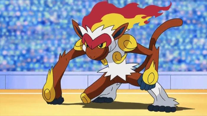 Infernape baiat lvl 89 stie toate miscarile de foc