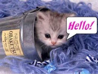 2hello