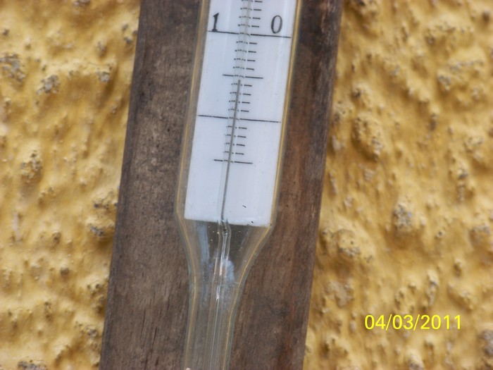 100_9802 - Iarna 2010  2011