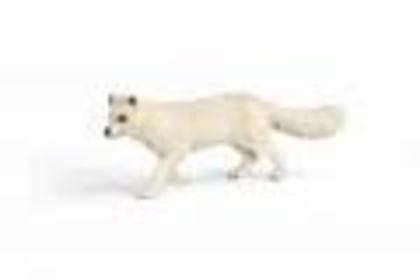 images (14) - Vulpea polara