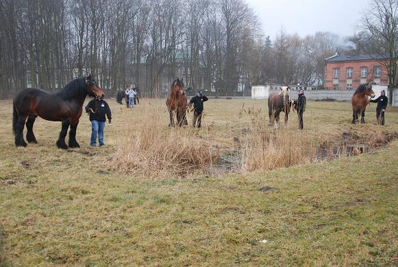 k,MzMzNTY2ODAsODI3NDMx,f,wszystkie[1]