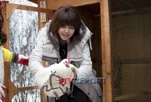 24811_375807243566_205806848566_3604242_2737380_n - Sooyoung