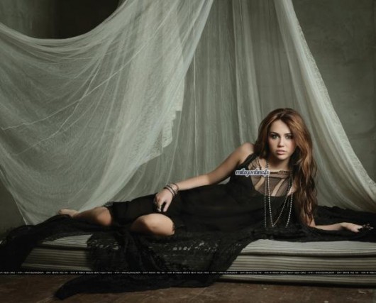 can't be tamed - miley cyrus