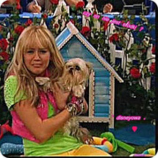 hannah montana