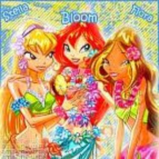 images (9) - winx