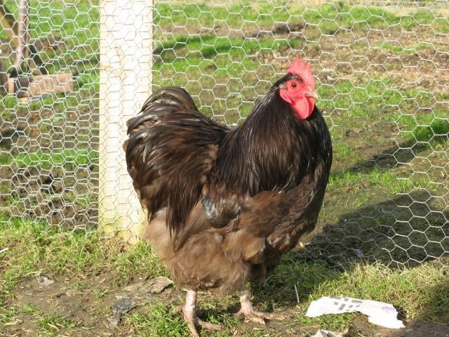 img_0399_640x480_afb5fb1a