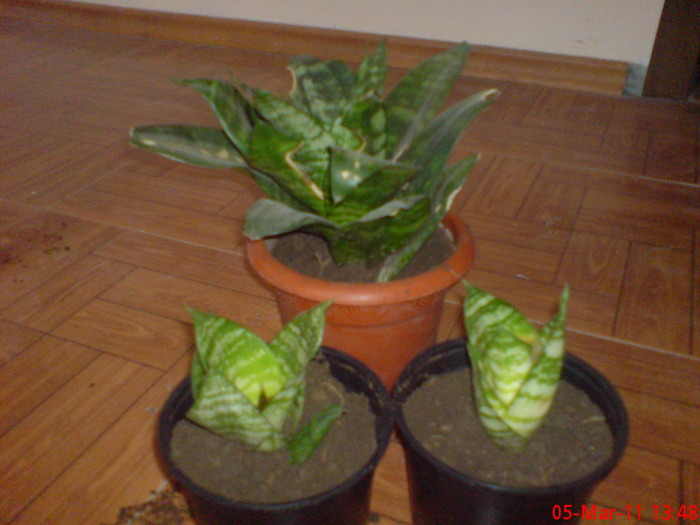 DSC00014