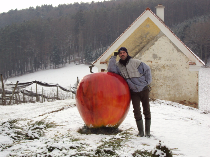 DSC00665 - Austria ianuarie 2011