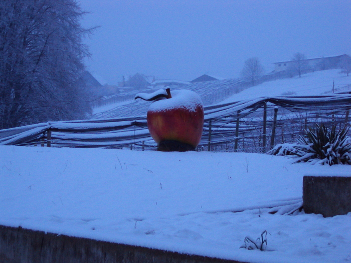 DSC00734 - Austria ianuarie 2011