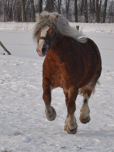 df62fd35fdcf4023med[1]