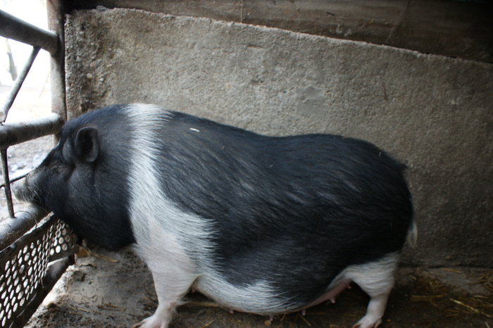 DSC08298