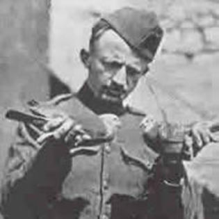 Pigeons WW1