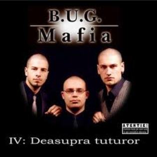 images (8) - bug mafia