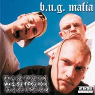 images (34) - bug mafia