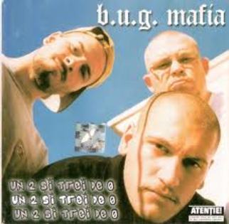 images (35) - bug mafia