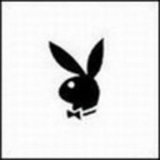 Avatar  8348 Playboy