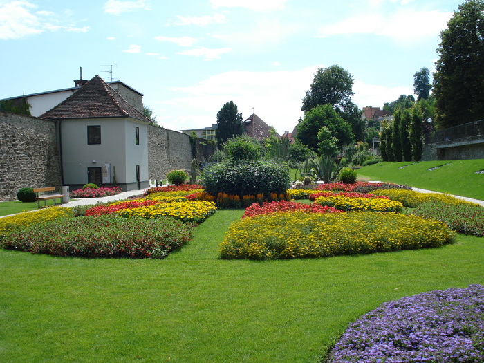 flower garden