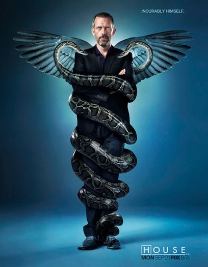 House41 - Gregory House