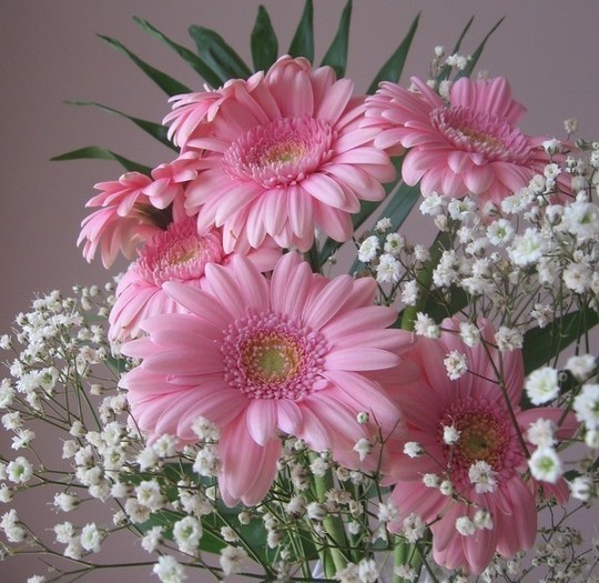 PENTRU ALEXANDRA SI YESOYA