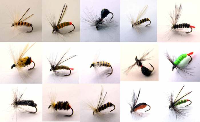 MUSTE-CLEAN-SORTIMENT