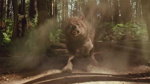 new-moon-movie-pictures-972 - TWwilight New Moon