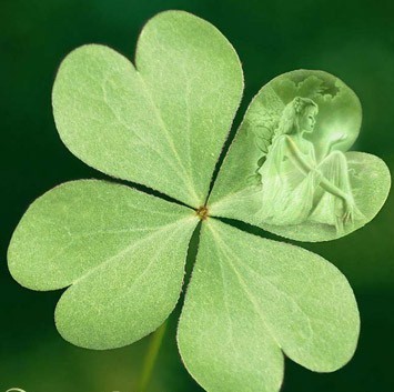 52072879_8565969_8667224