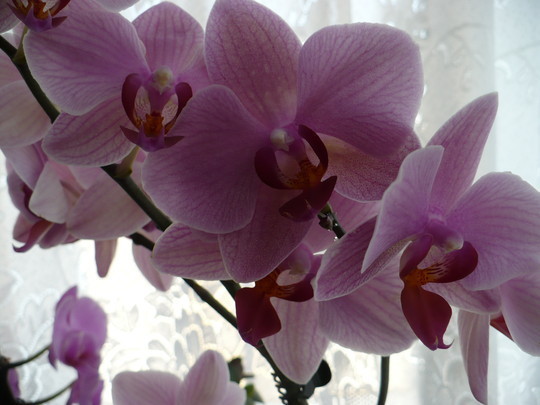 55406475_8924351_15912550