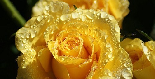 104043585_2950747_16580191