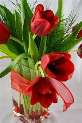 104043585_3038274_16504200