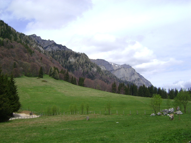 VEDERE SPRE PIATRA CRAIULUI