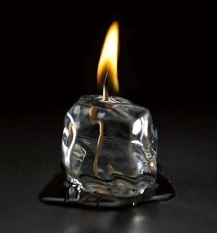 157233591_4548836_16569862