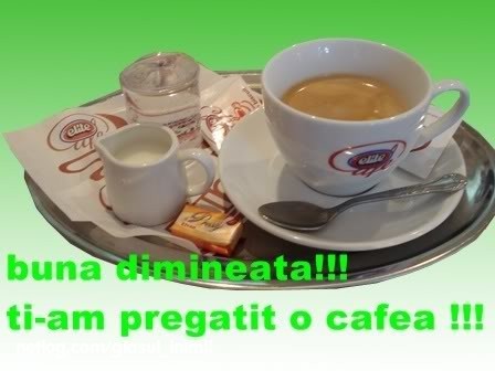 157233591_11400882_16586297 - sanda