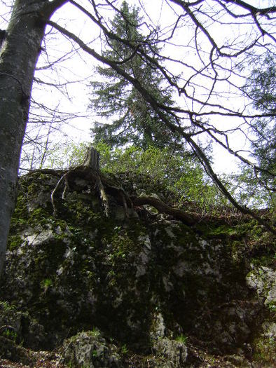 DSC00485 - STANA REGALA 2