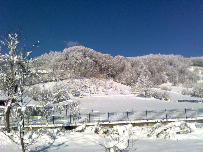 Iarna 2011 - Imagini de iarna