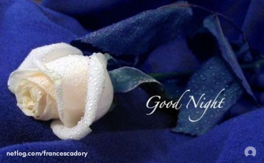 154022265_2506973_16599076