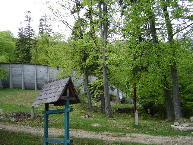 PARTIA DE BOB DIN SINAIA