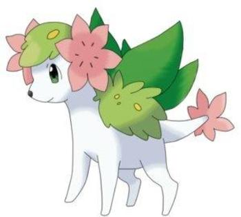 e draguta - z Shaymin evolve z