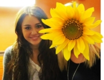 26989007_POAIJQPWI - Miley