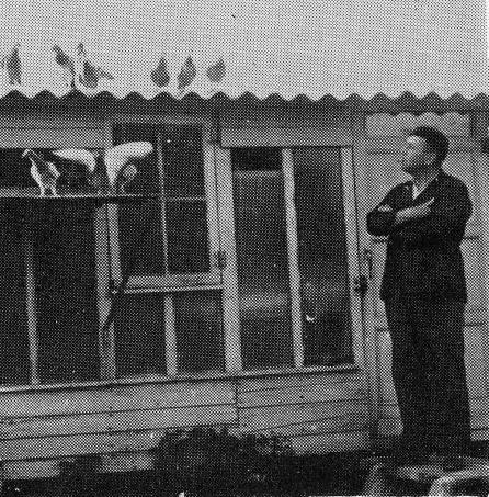 Foto-articol-Berlangee-2