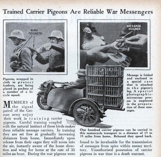 war_carrier_pigeons