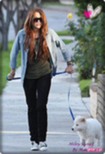 31852927_TJZMPBKSY - Miley