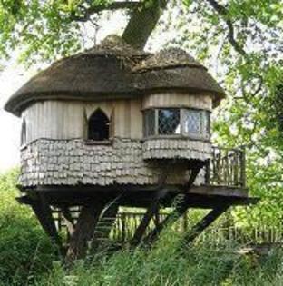 casa in copac :D