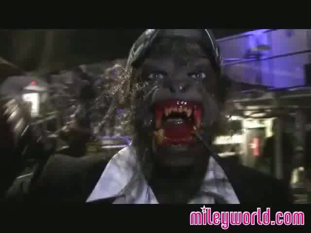 Halloween on the Wonder World Tour 338