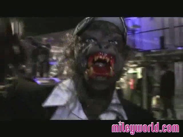 Halloween on the Wonder World Tour 339