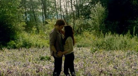 bella-edward-field