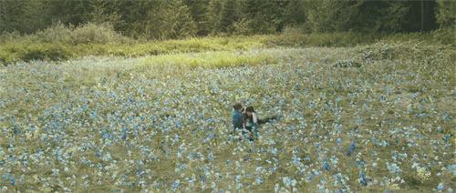 edward-bella-sitting-field