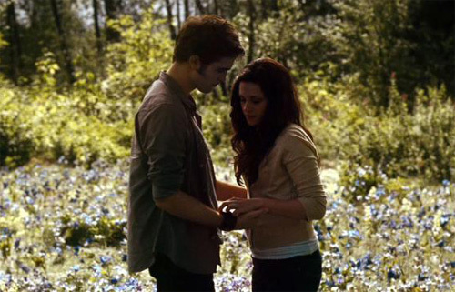 field-bella-edward